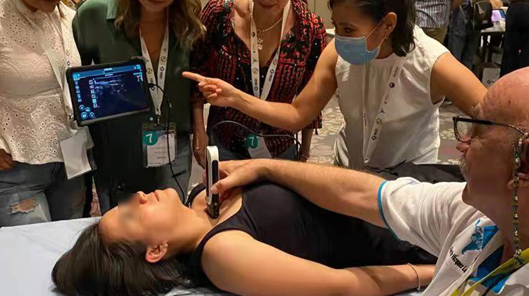 �ֳ�ʽ������׼ȷ����